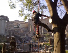 Soprintendenza ai Beni Culturali Foro Romano – Roma (2006)