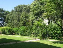 British School At Rome. Potature in tree climbing. Endoterapia. Roma (2012)